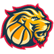 弗拉基米尔大学女篮logo