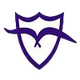 马尔文女篮logo
