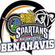 贝纳阿维斯logo