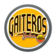 盖特罗斯苏利亚logo