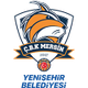 CBK梅尔辛女篮logo