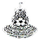 维德拉logo
