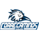 克雷卡米诺斯女篮logo