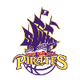 西南新城海盗logo