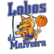 洛沃斯logo