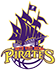 西南新城海盗女篮logo