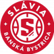 拜斯特里卡女篮logo