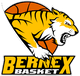贝内克斯logo