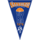 卡捷提娜logo
