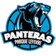 潘多拉女篮logo