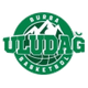 布尔萨女篮logo