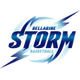 贝拉林风暴logo