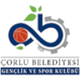 乔尔卢贝莱迪耶西logo