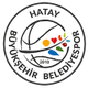 哈塔耶女篮logo