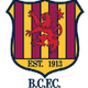 巴森丁区女足logo
