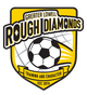 GLR钻石logo