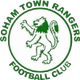 索厄姆镇流浪logo
