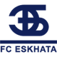 埃斯克logo