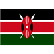 肯尼亚女足logo