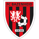 巴黑德logo