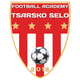 特萨斯科塞洛logo
