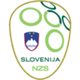 斯洛文尼亚VIlogo