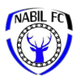 纳比尔logo