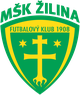 日利纳女足logo