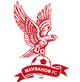 纳弗巴霍女足logo