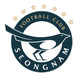 城南FC后备队logo