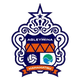 滨松室内足球队logo