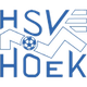 HSV胡克logo