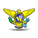 美属维尔京群岛沙滩足球队logo