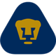 美洲狮B队logo