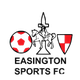 伊辛顿体育logo