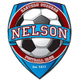 尼尔逊东郊logo