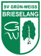 布里塞朗女足logo