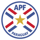 巴拉圭室内足球队logo