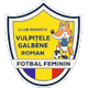 加尔宾女足logo