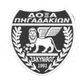皮加达女足logo