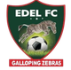 埃德尔足球俱乐部logo