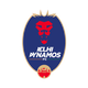 德里迪纳摩B队logo