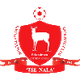麦戈尔斯logo
