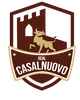 皇家卡萨尔诺沃logo