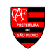 弗拉门戈圣佩德罗女足logo