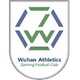 湖北竞技体育logo