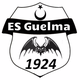 ES盖尔马logo
