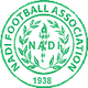 纳迪女足logo