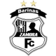 萨莫拉FC后备队logo