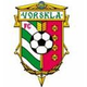 沃尔斯克拉后备队logo